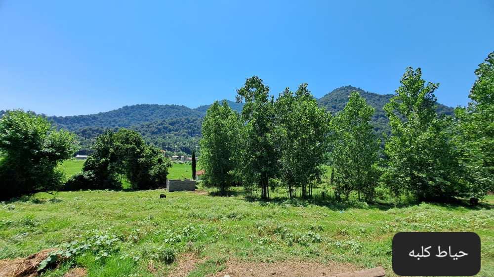 اجاره کلبه چوبی جکوزی دار در ماسال - سراکه