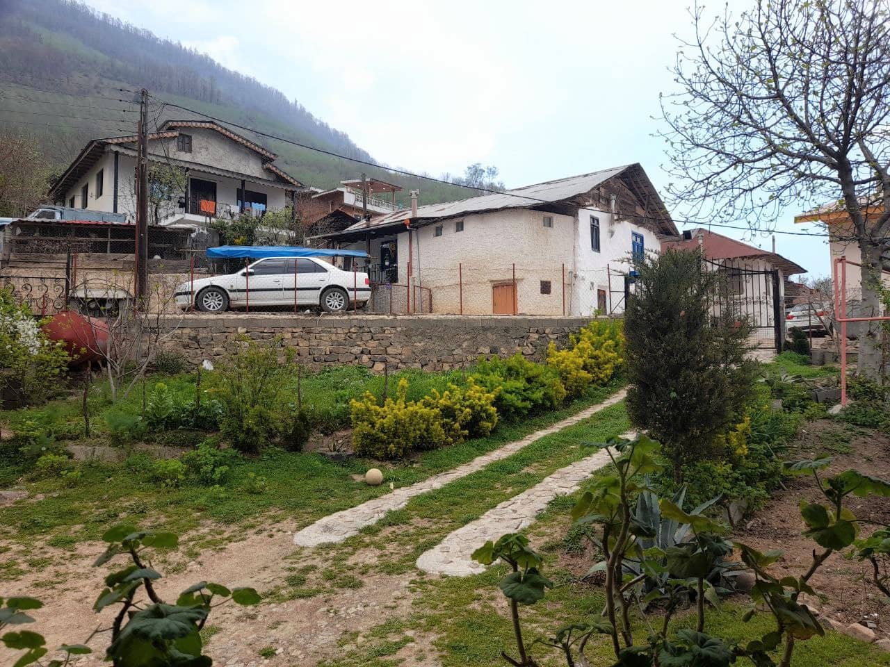 اجاره کلبه جنگلی در رحیم آباد رودسر - میلاش