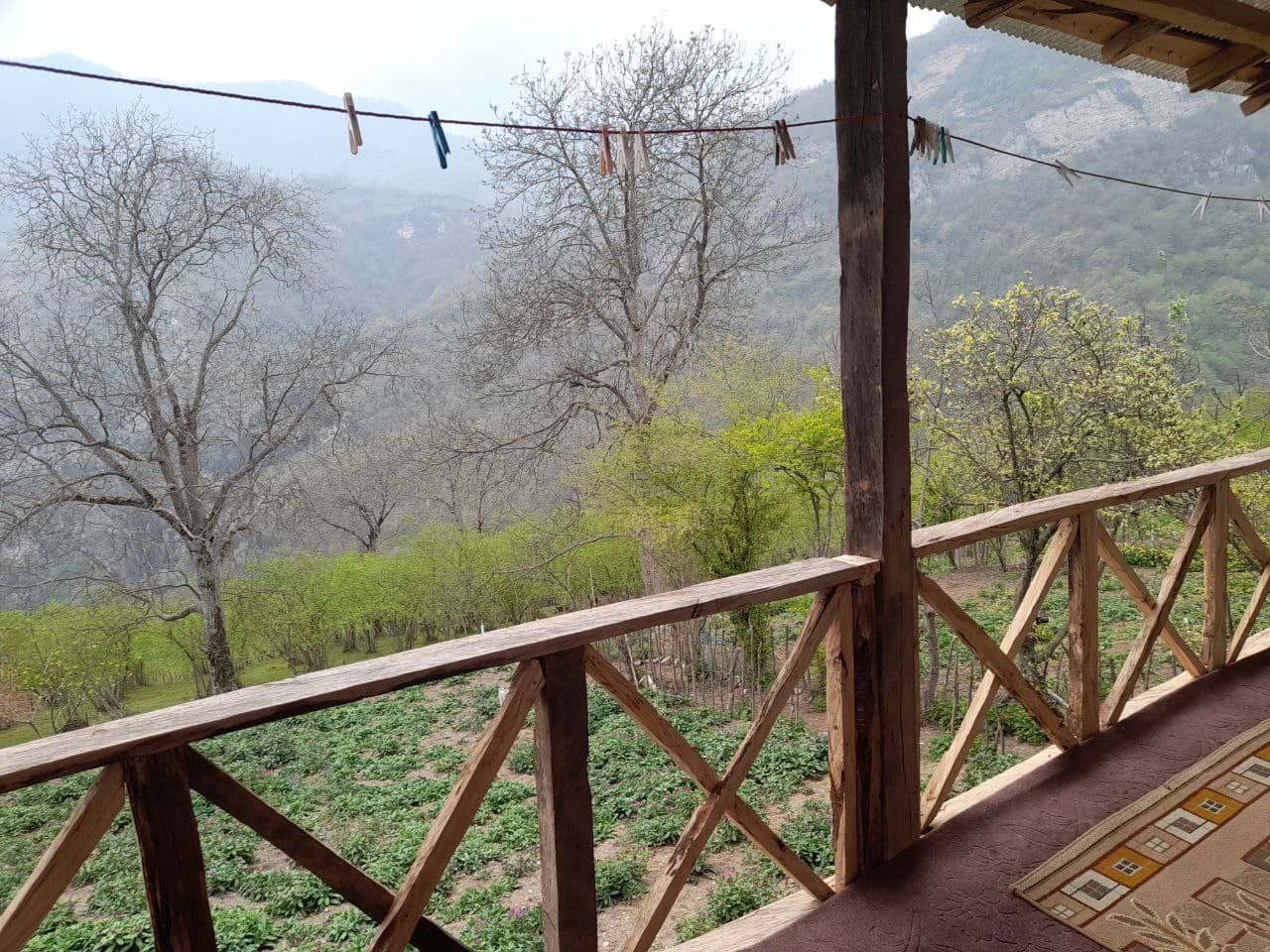 اجاره کلبه جنگلی در رحیم آباد رودسر - میلاش