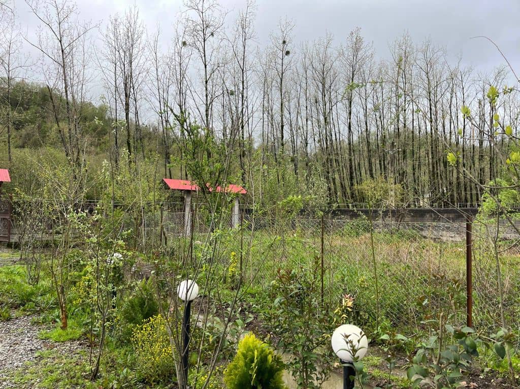 اجاره ویلا باغ در سیاهداران تالش