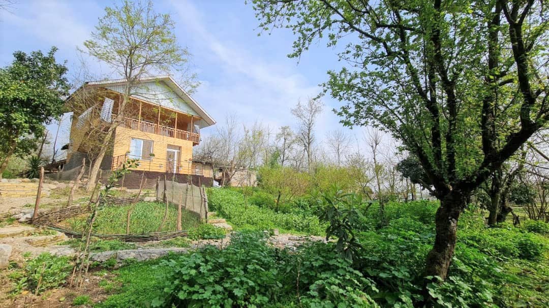 اجاره کلبه چوبی جنگلی در لیپا ماسال