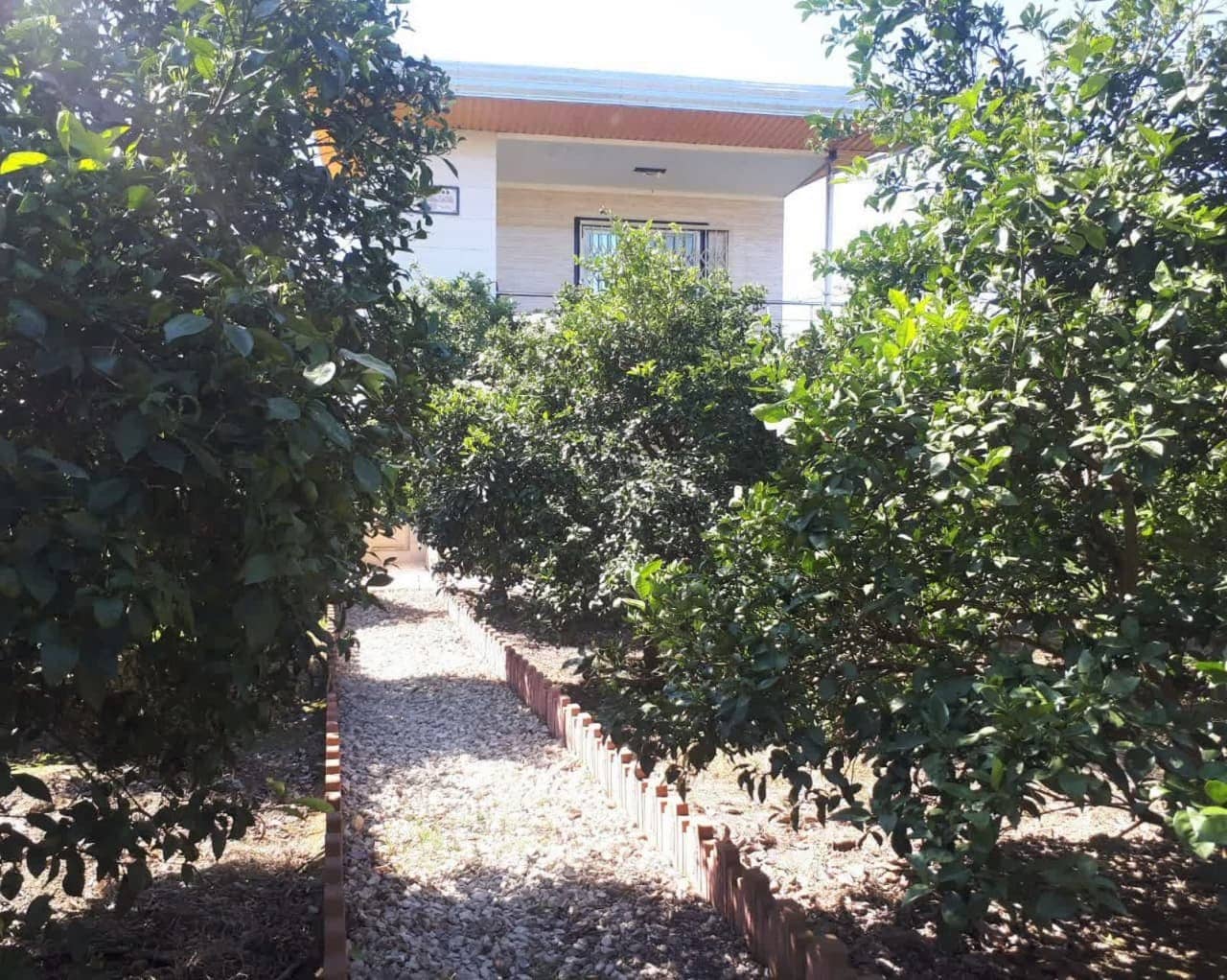 اجاره ویلا باغ در کپورچال بابل - مازندران