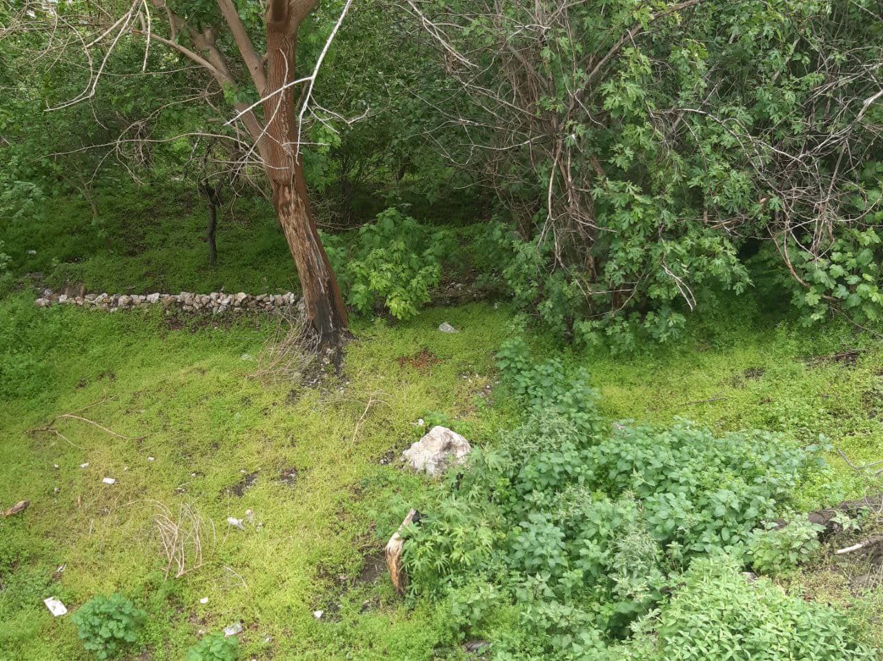 اجاره ویلا در روستا داریان پاوه - کرمانشاه