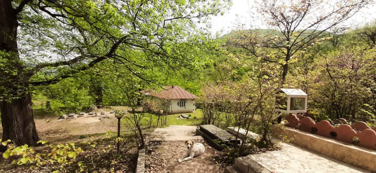 اجاره ویلا در افراچال ساری - تکخواب