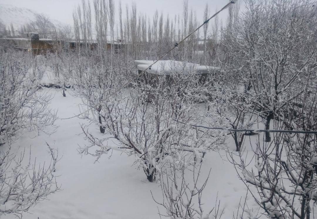 اجاره سوئیت باغ در کمهر - سپیدان