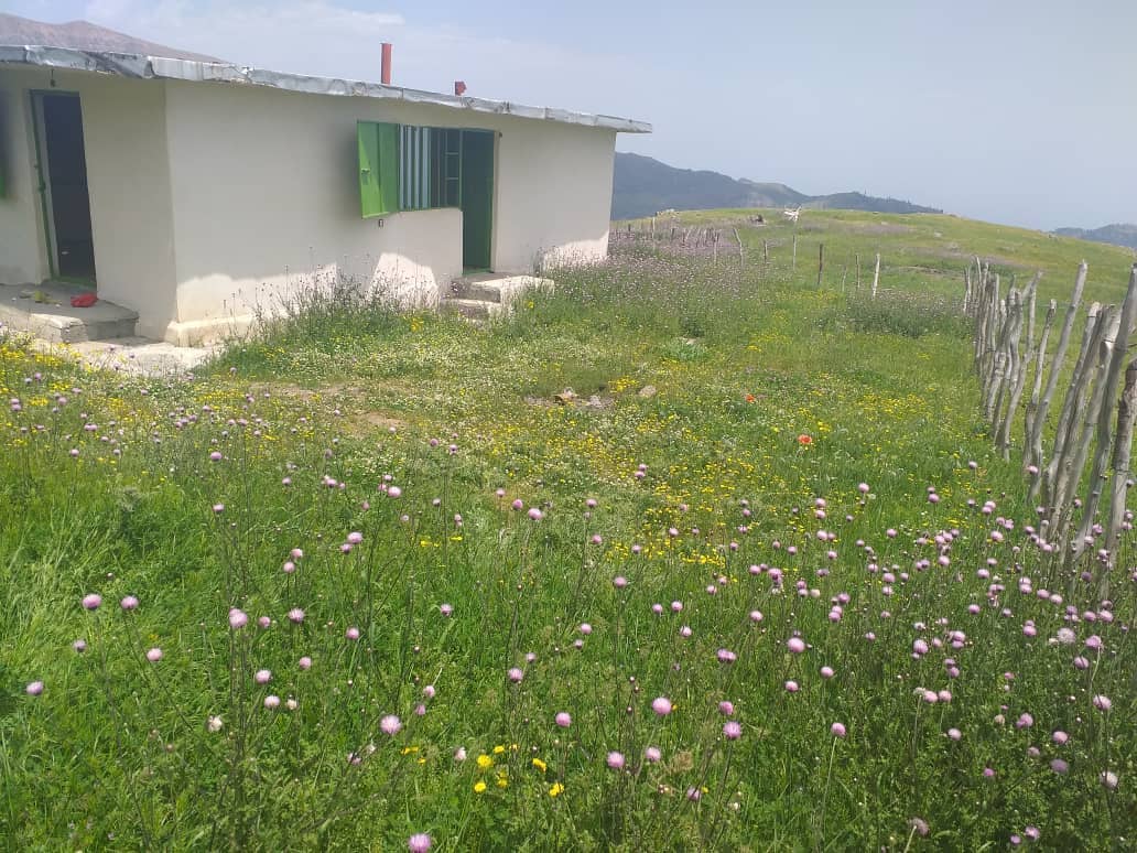 اجاره سوئیت کوهستانی ییلاقی در سوباتان - آبشار ورزان