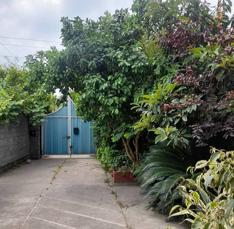 اجاره ویلا دو خوابه نزدیک به دریا و جنگل - چالوس