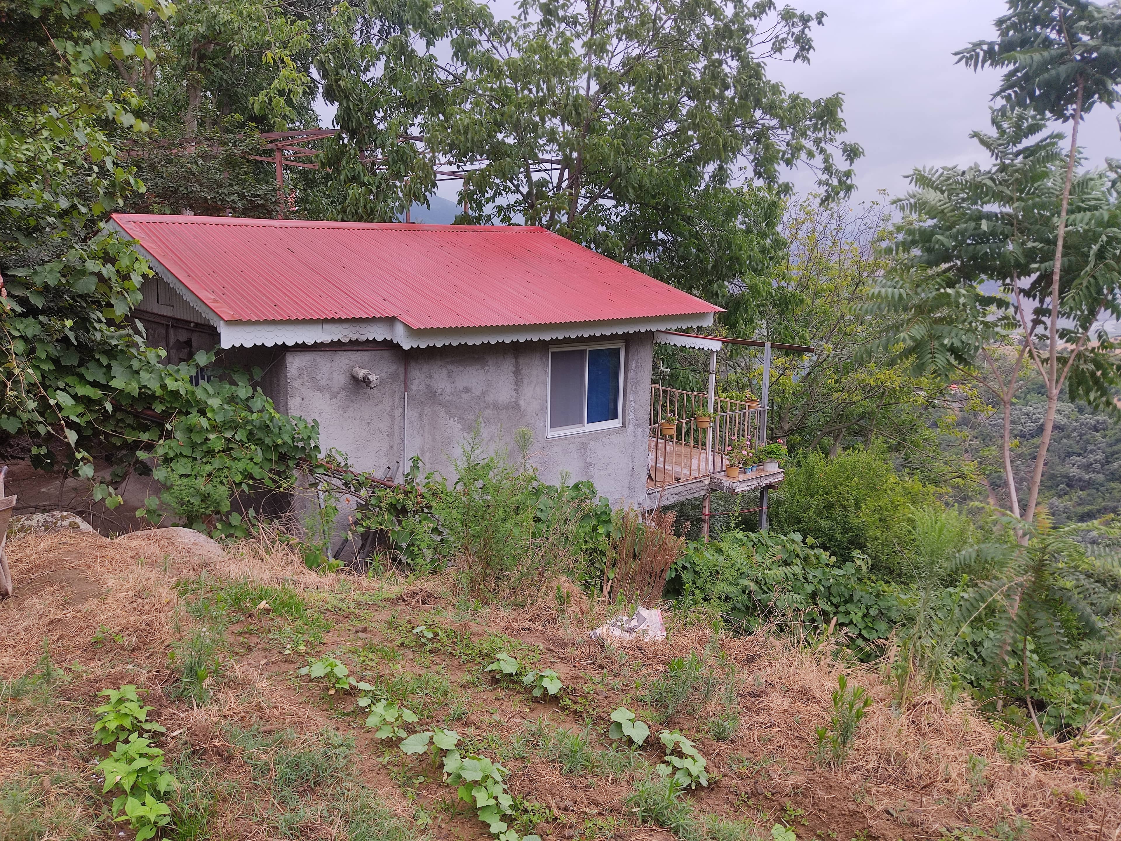 اجاره ویلا جنگلی در جمشید آباد رستم آباد