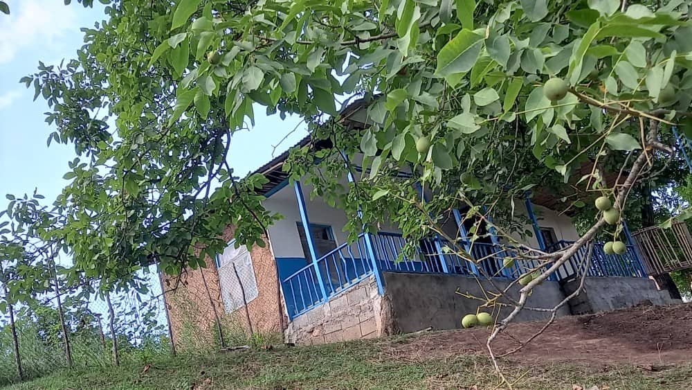 اجاره ویلا جنگلی در حلیمه جان - 35متر