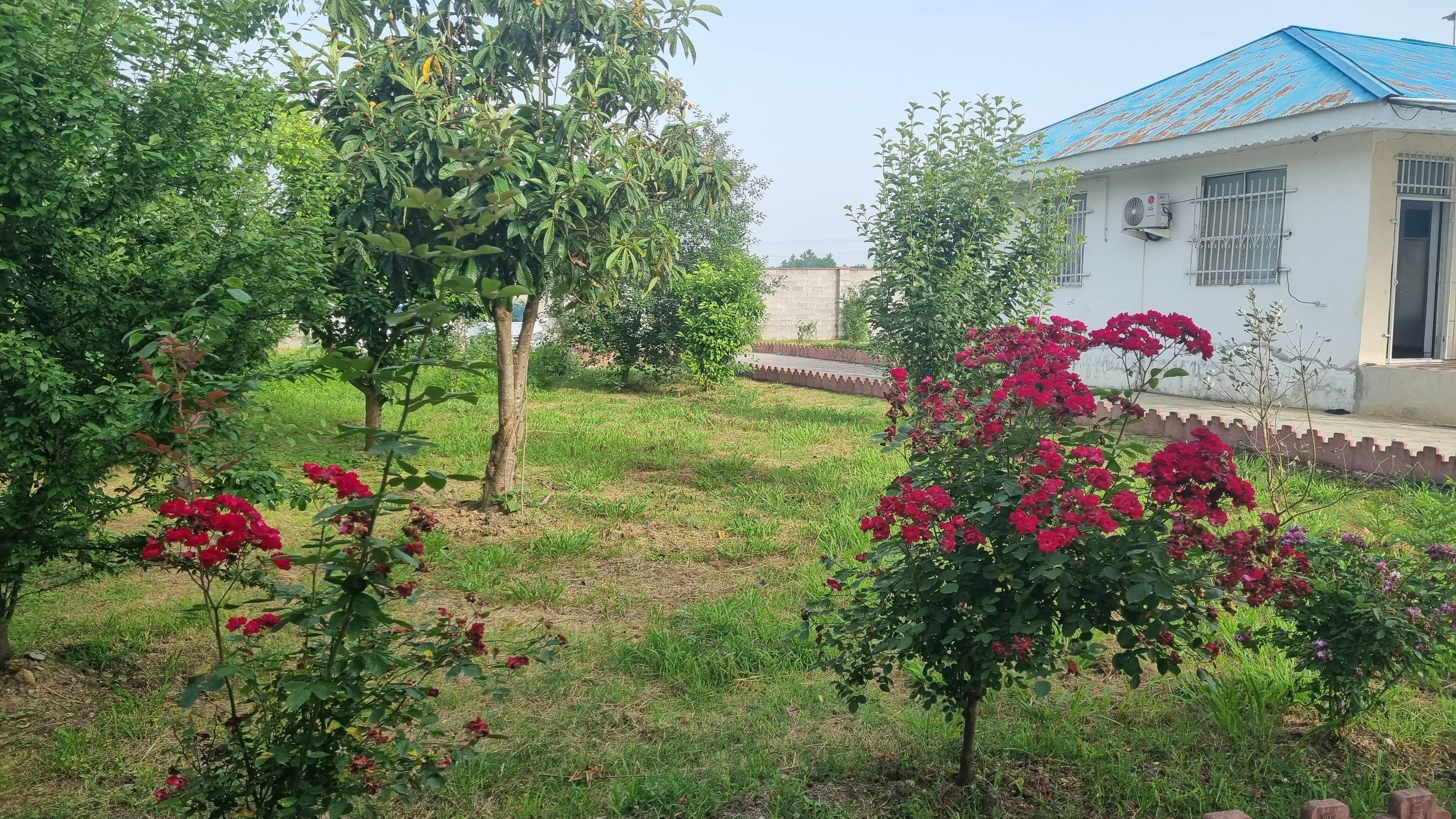 اجاره ویلا در فشمخام صومعه سرا نزدیک دریاچه - دو خواب