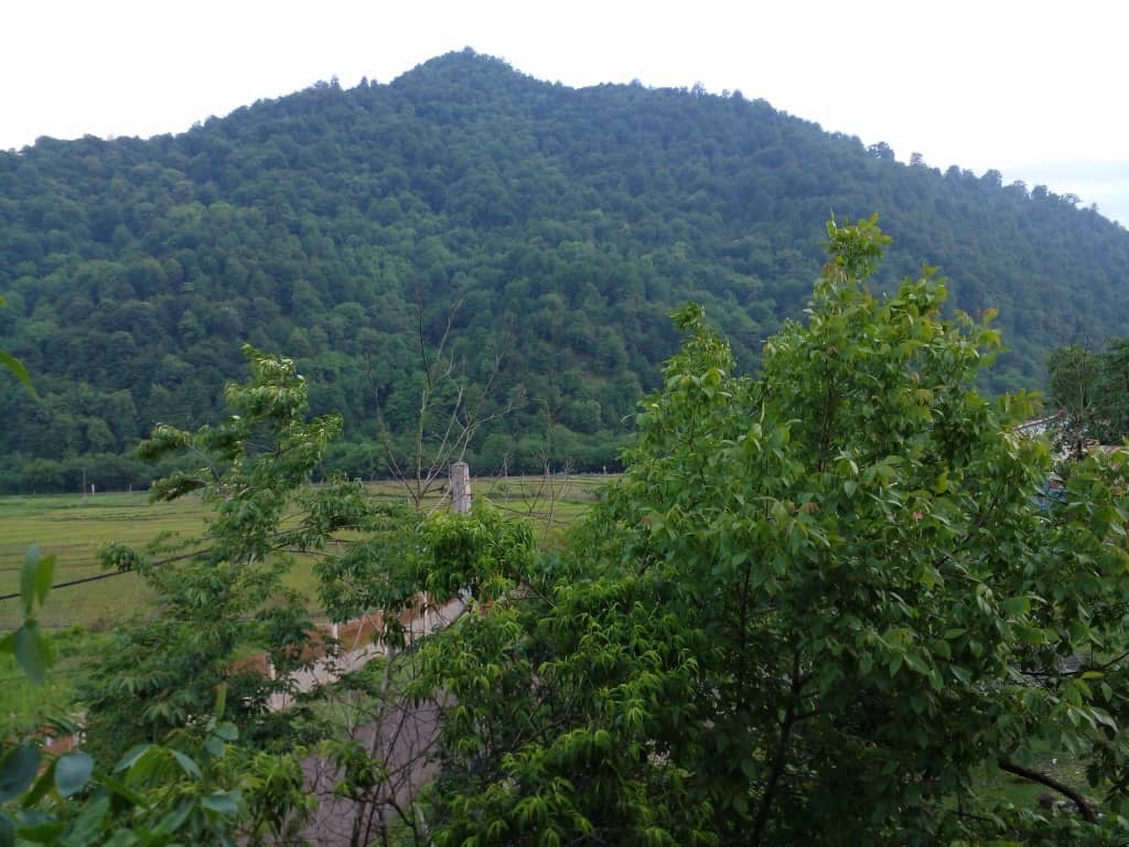 اجاره ویلا جنگلی در سراکه ماسال