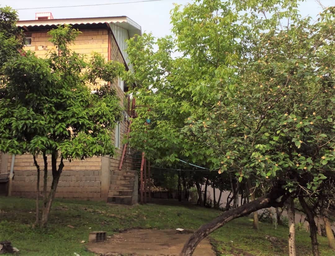 اجاره ویلا جنگلی در سراکه ماسال