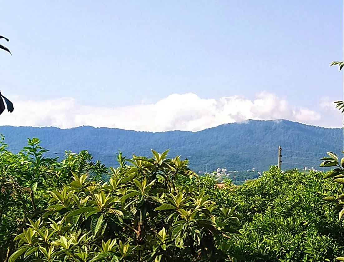 اجاره ویلا نشتارود - مازندران