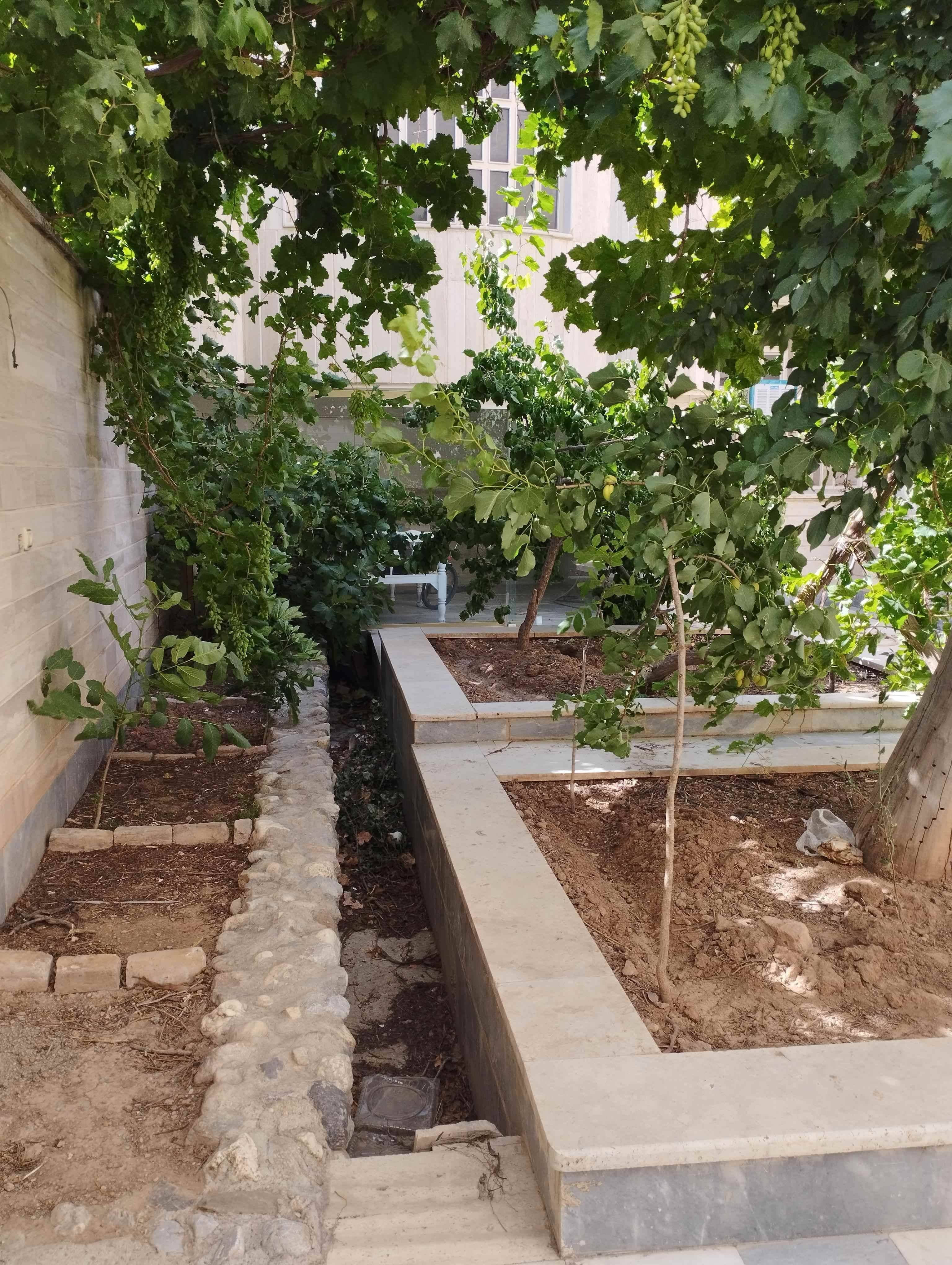 اجاره سوئیت حیاط دار در محلات - همکف