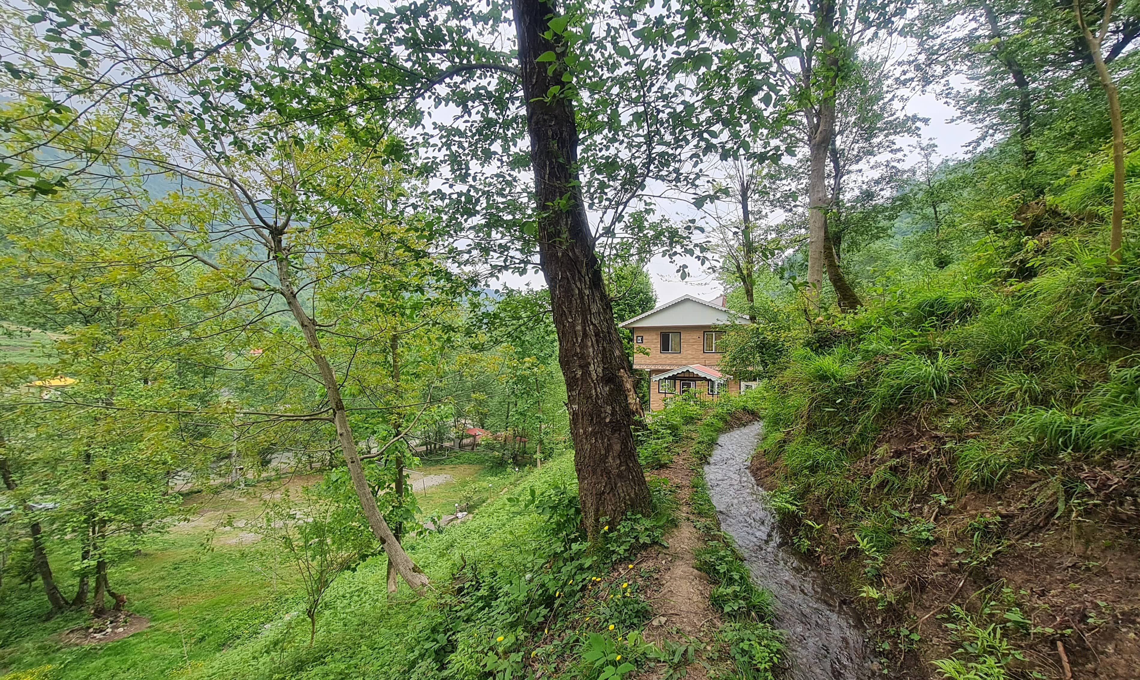 اجاره ویلا جنگلی در شاندرمن ماسال
