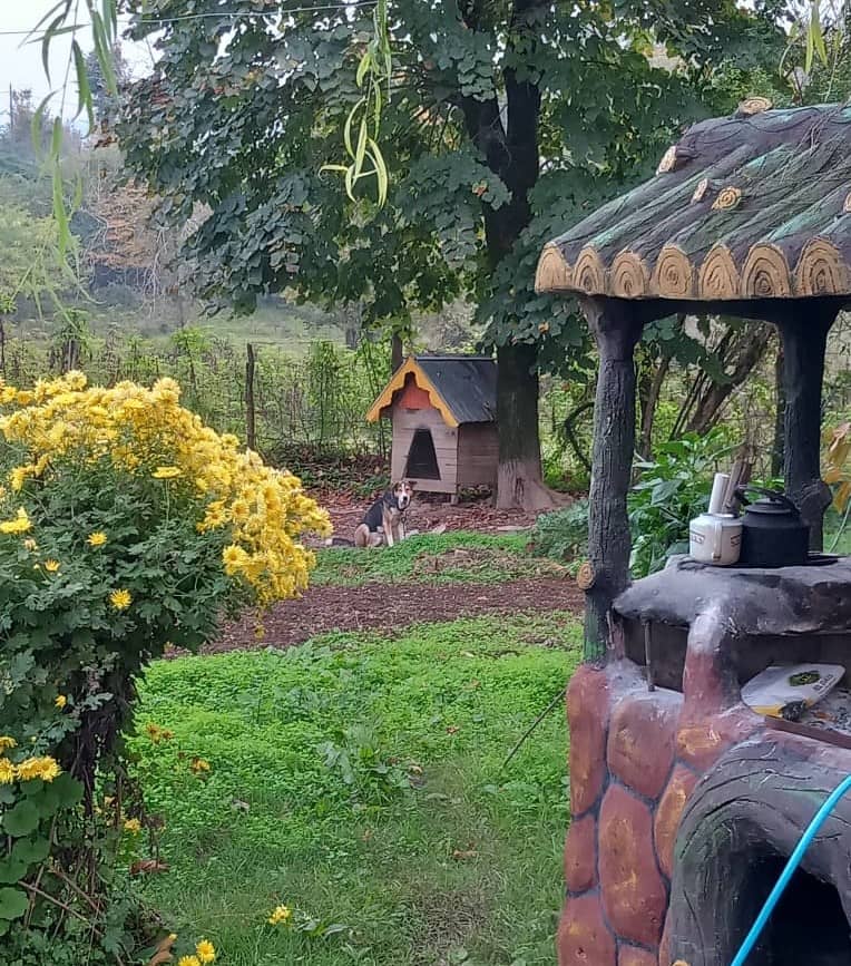 اجاره سوئیت در روستا گنجار شفت - گیلان