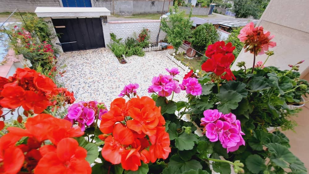 ویلا جنگلی دوبلکس دوخوابه در لتعین