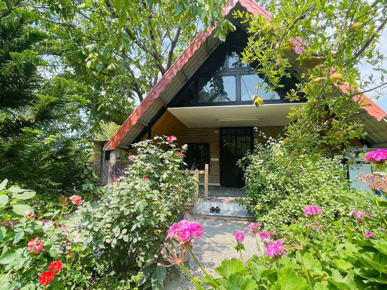 اجاره کلبه سوئیسی در رستم کلا