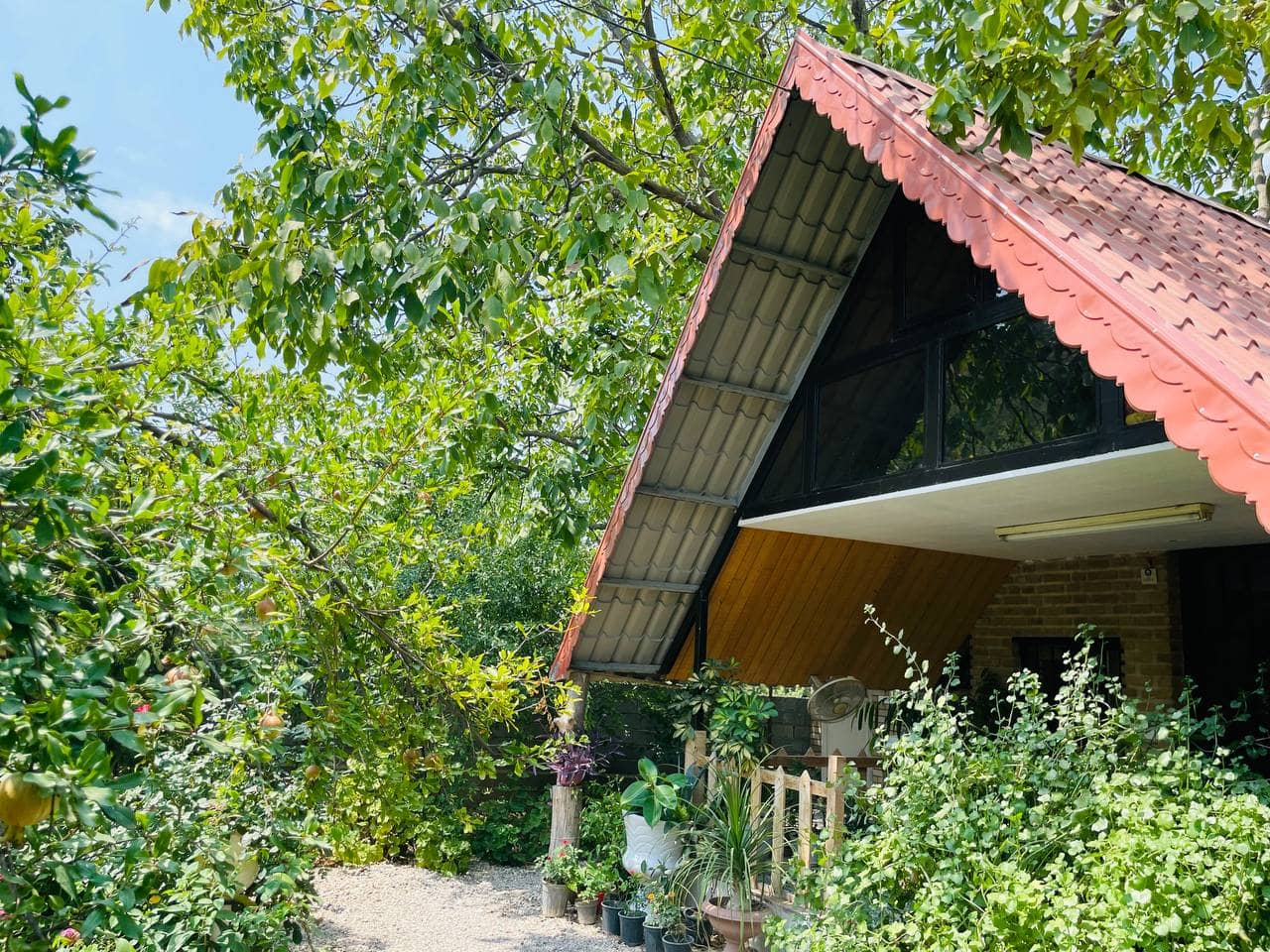 اجاره کلبه سوئیسی در رستم کلا