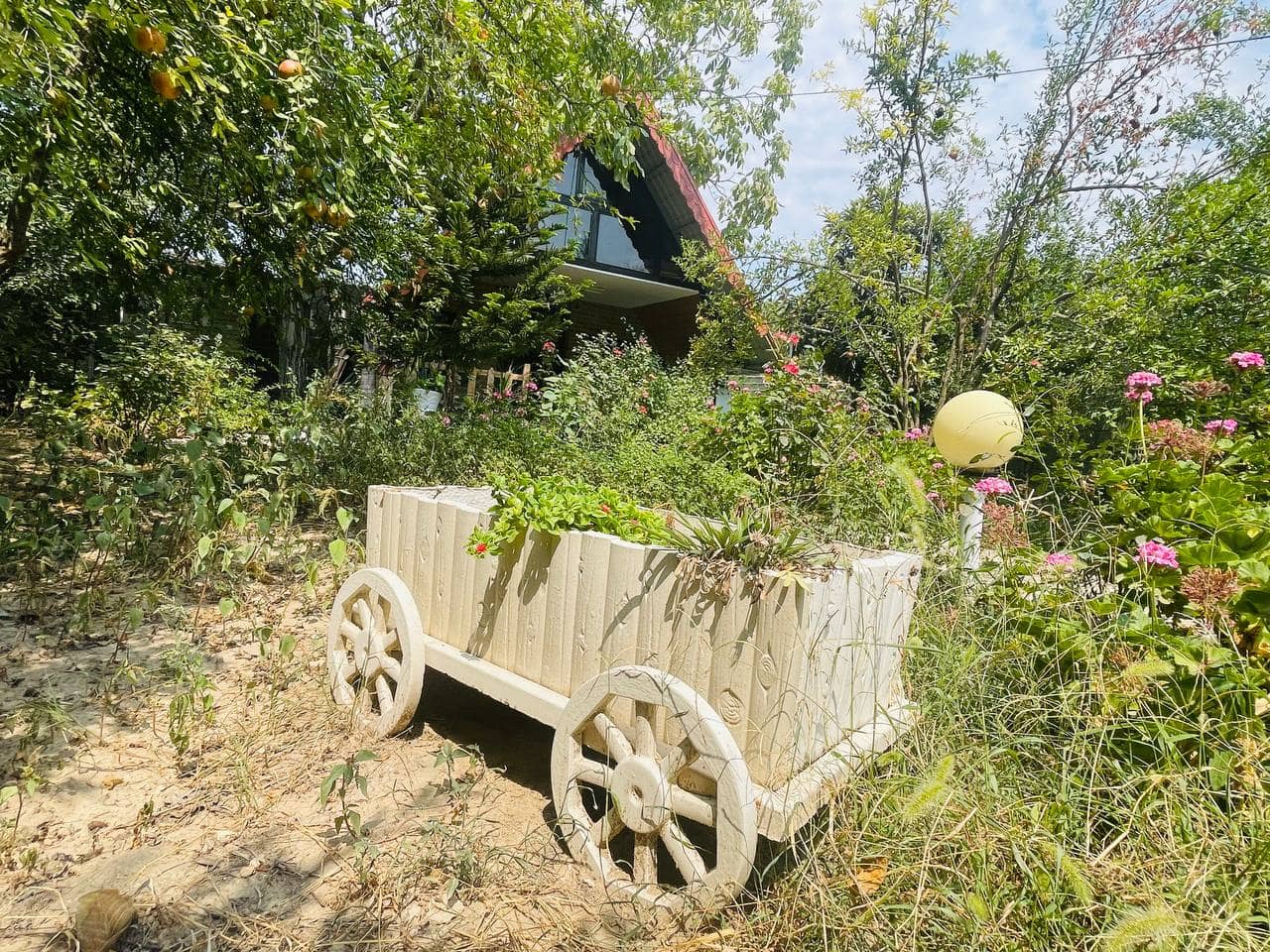 اجاره کلبه سوئیسی در رستم کلا