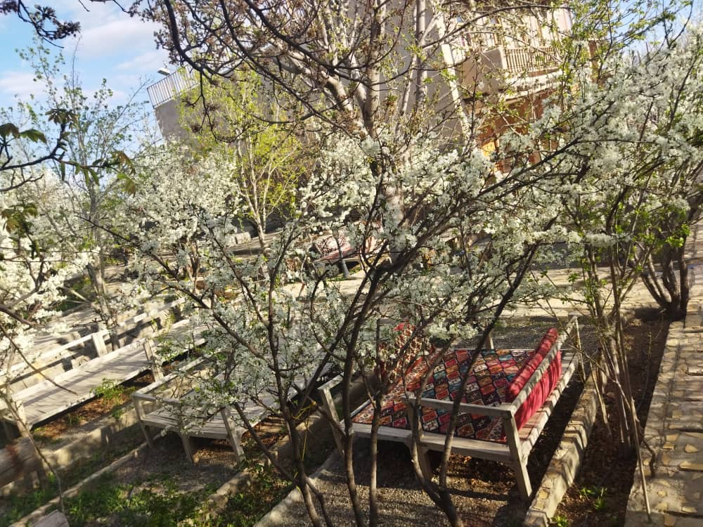 اجاره بومگردی در قاسم آباد بزرگ - 7