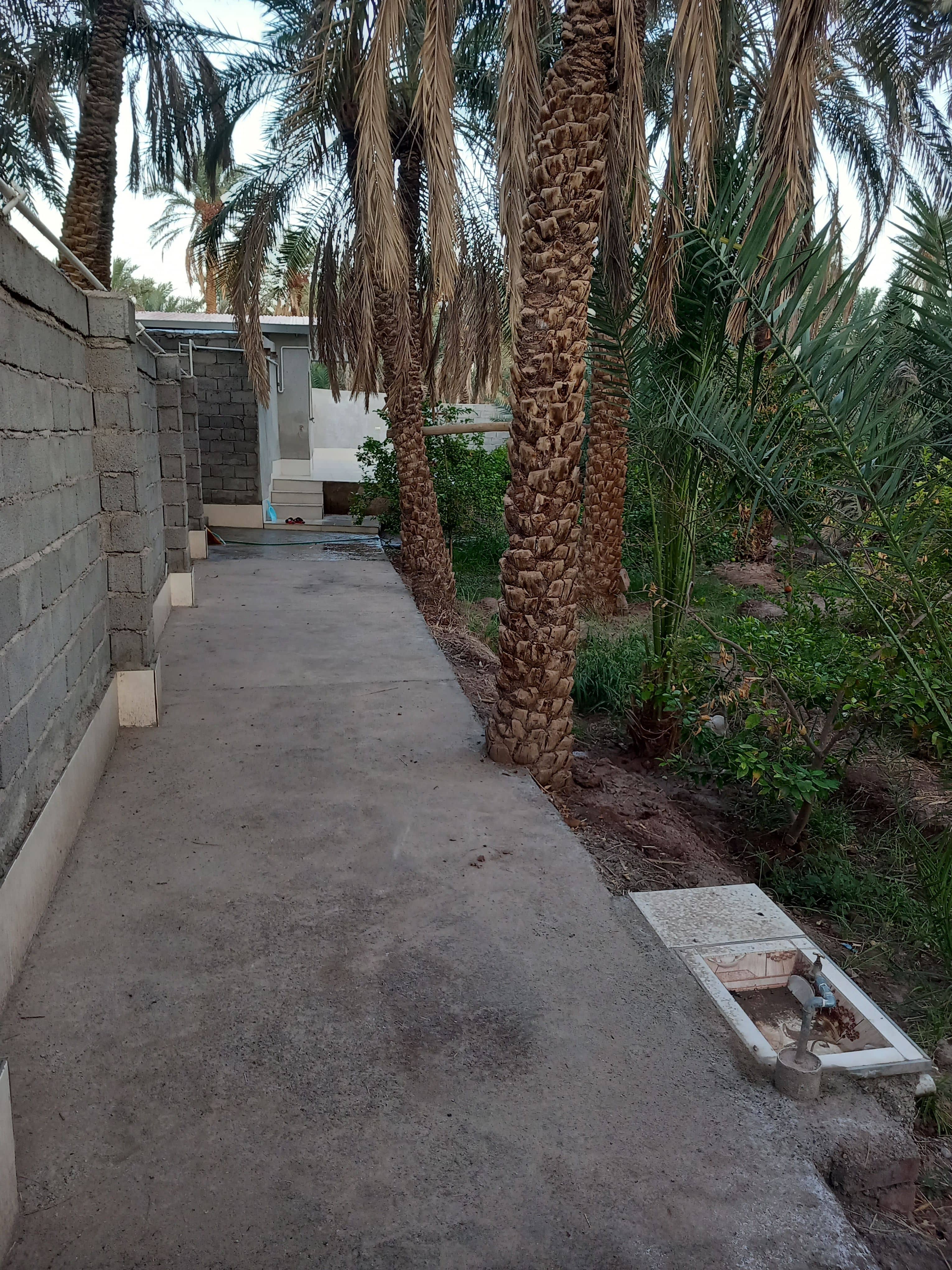 اجاره خانه ویلایی در شهداد