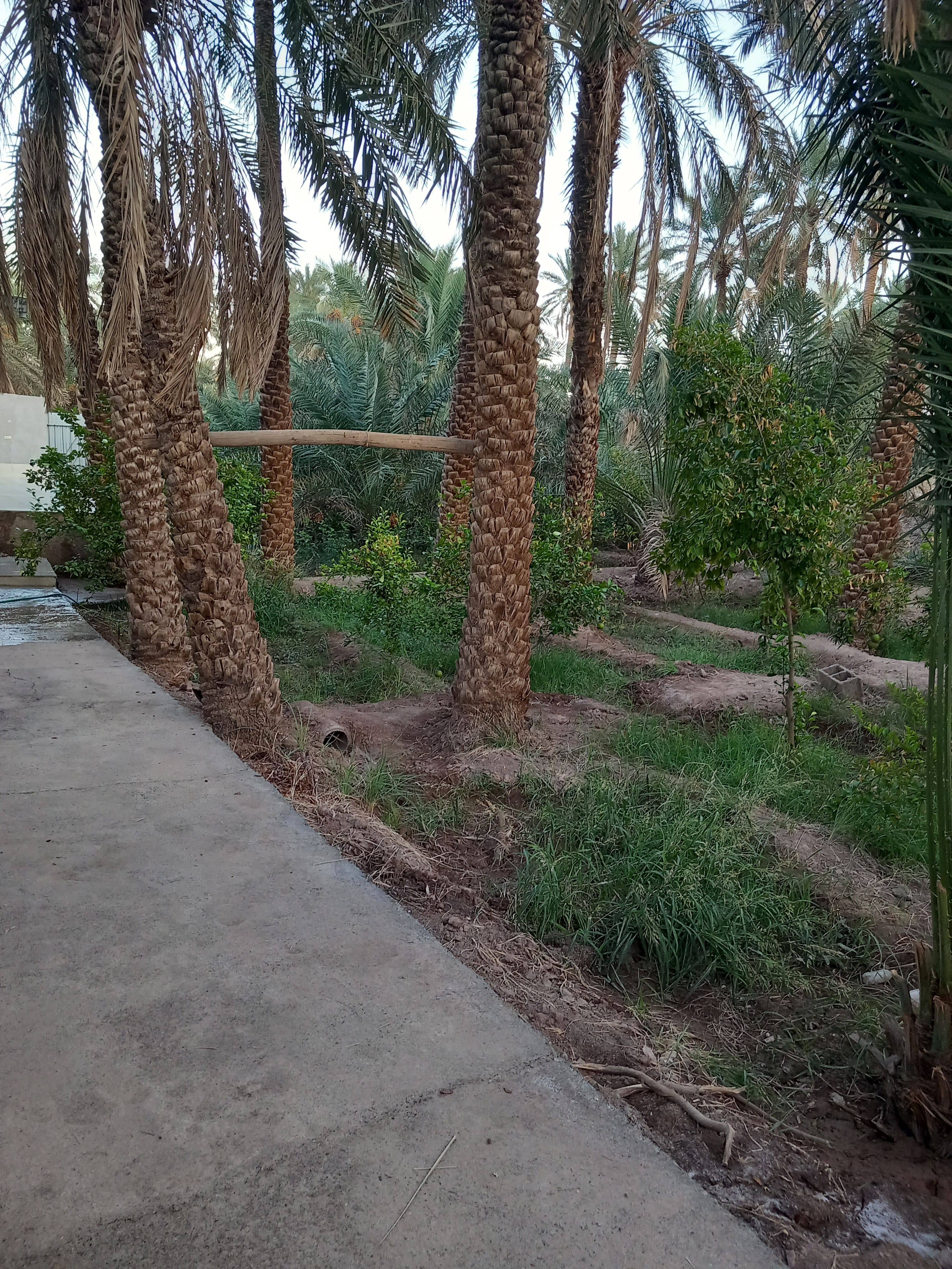 اجاره خانه ویلایی در شهداد