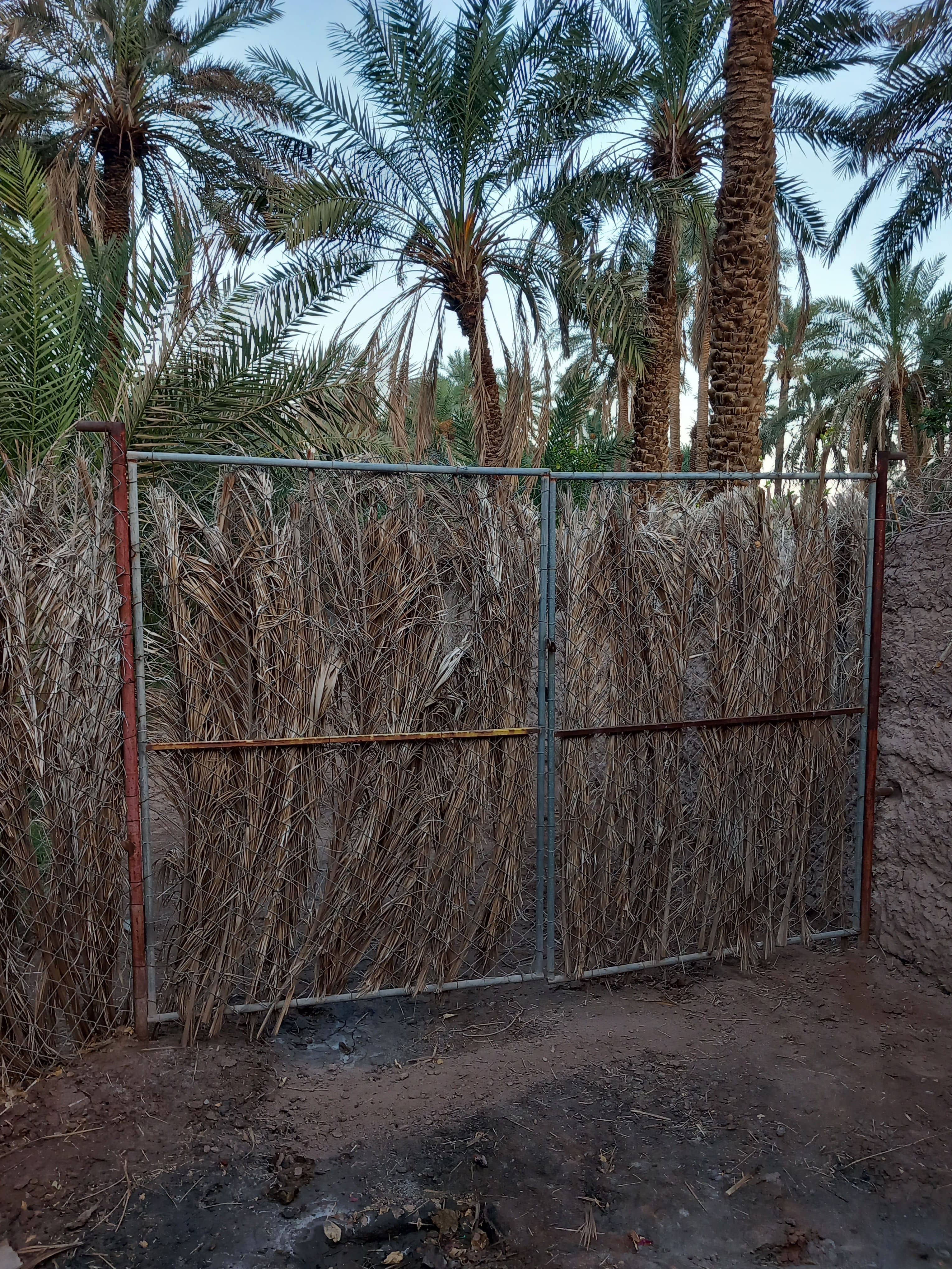 اجاره خانه ویلایی در شهداد