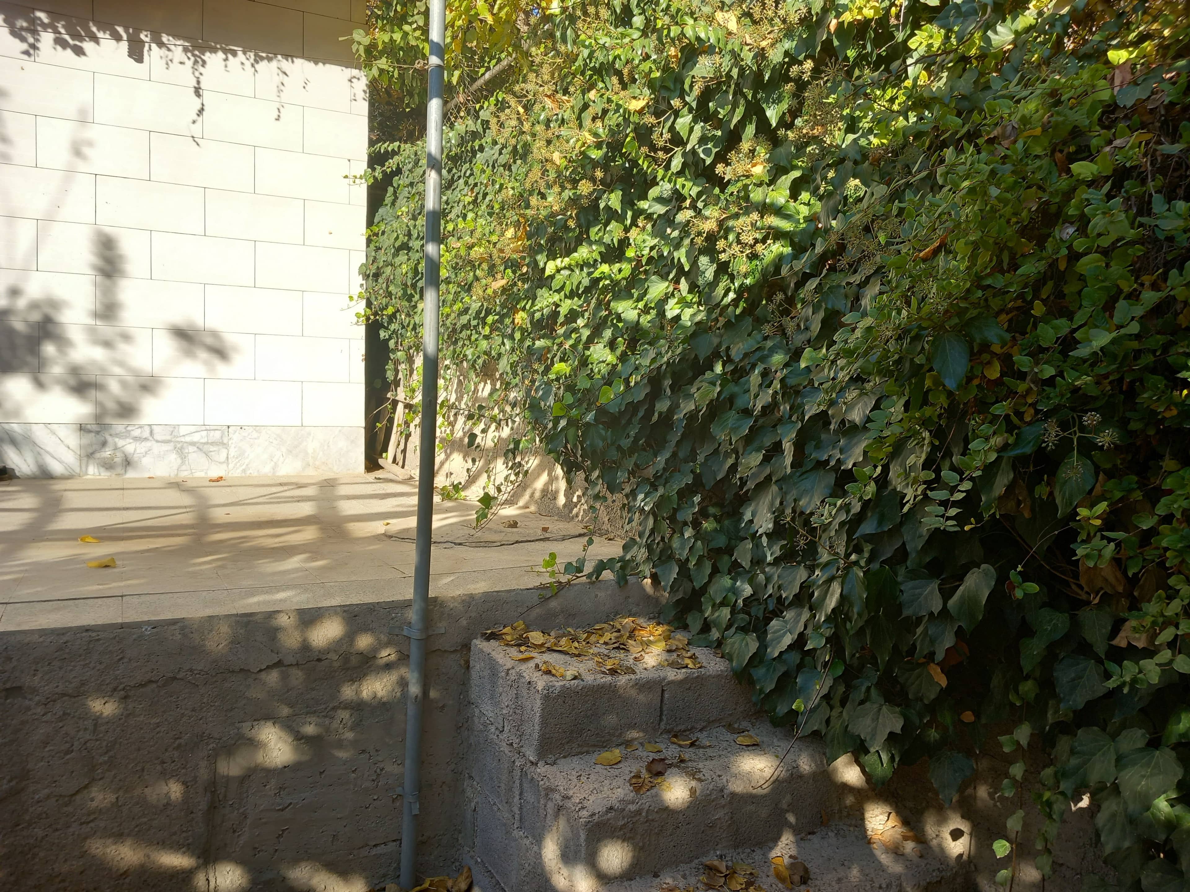 اجاره سوئیت ویلایی در سیرچ