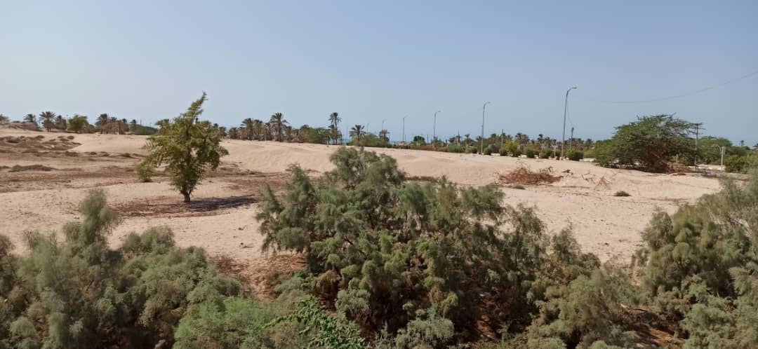 اجاره منزل ویلایی در نزدیکی ساحل بندر امام حسن