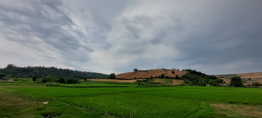 اجاره منزل مبله در روستای زرندین نکا