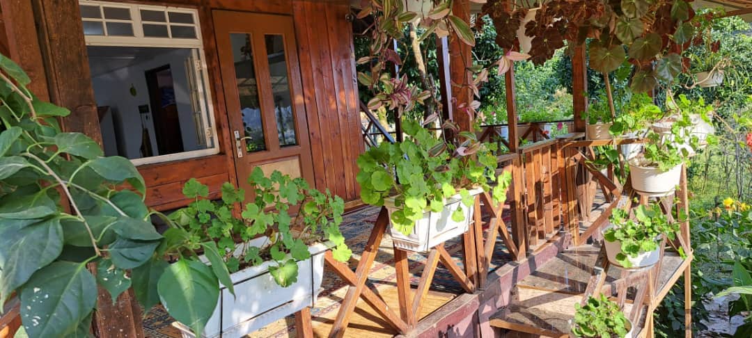 اجاره منزل ویلایی جنگلی در روستای مرکیه ماسال