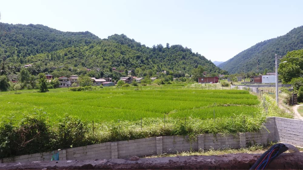 اجاره منزل مبله در شیخ محله اسالم