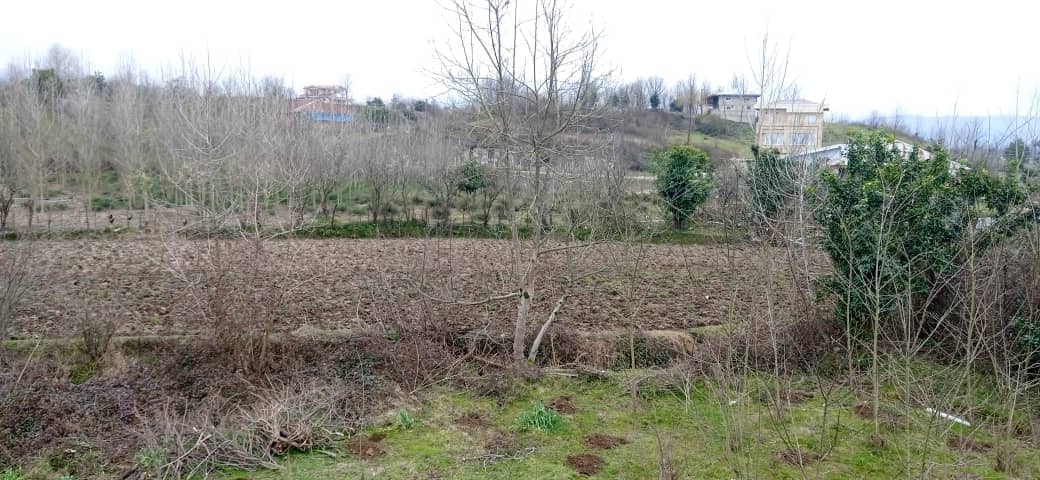 اجاره ویلا در روستای صیقلان