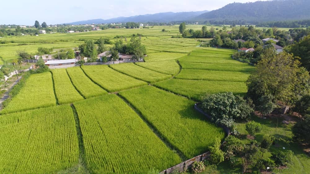 اجاره کلبه سوییسی دوبلکس در پره سر رضوانشهر