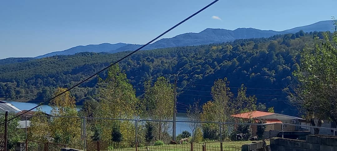 اجاره کلبه جنگلی در گالشکلا مازندران