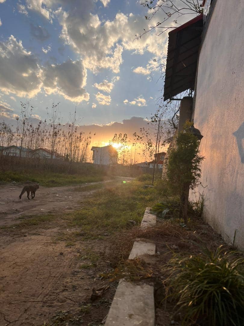 اجاره ویلا در تربه گوده انزلی - ملیسا با جکوزی