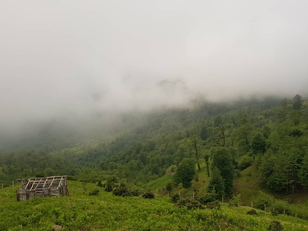 اجاره کلبه چوبی جنگلی در اولسبلنگاه