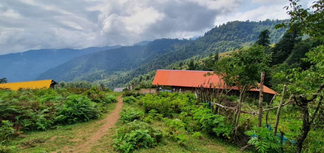 اجاره کلبه چوبی جنگلی در اولسبلنگاه