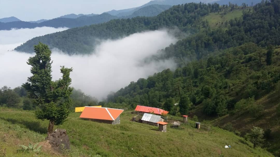 اجاره کلبه چوبی جنگلی در اولسبلنگاه