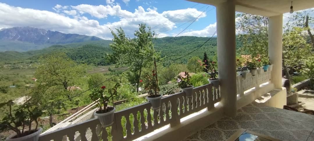 اجاره خانه جنگلی در حلیمه جان - همکف