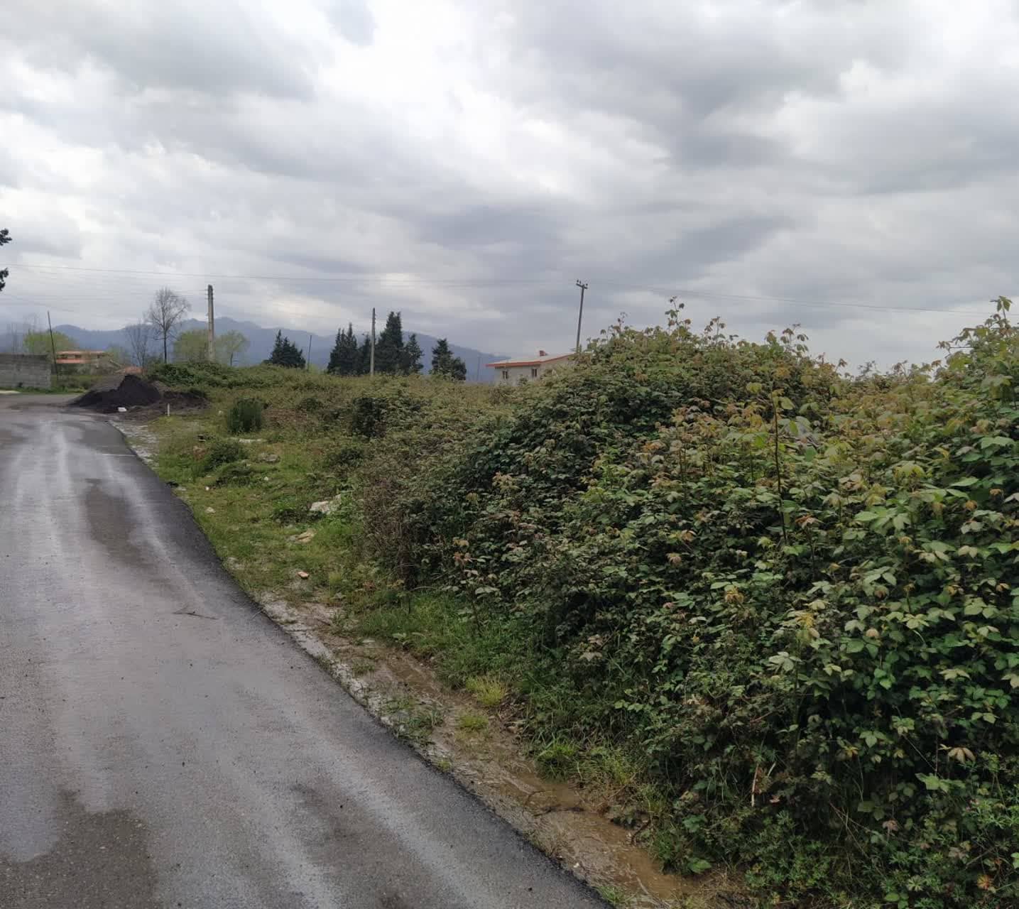 اجاره ویلا در خمپته رحیم اباد