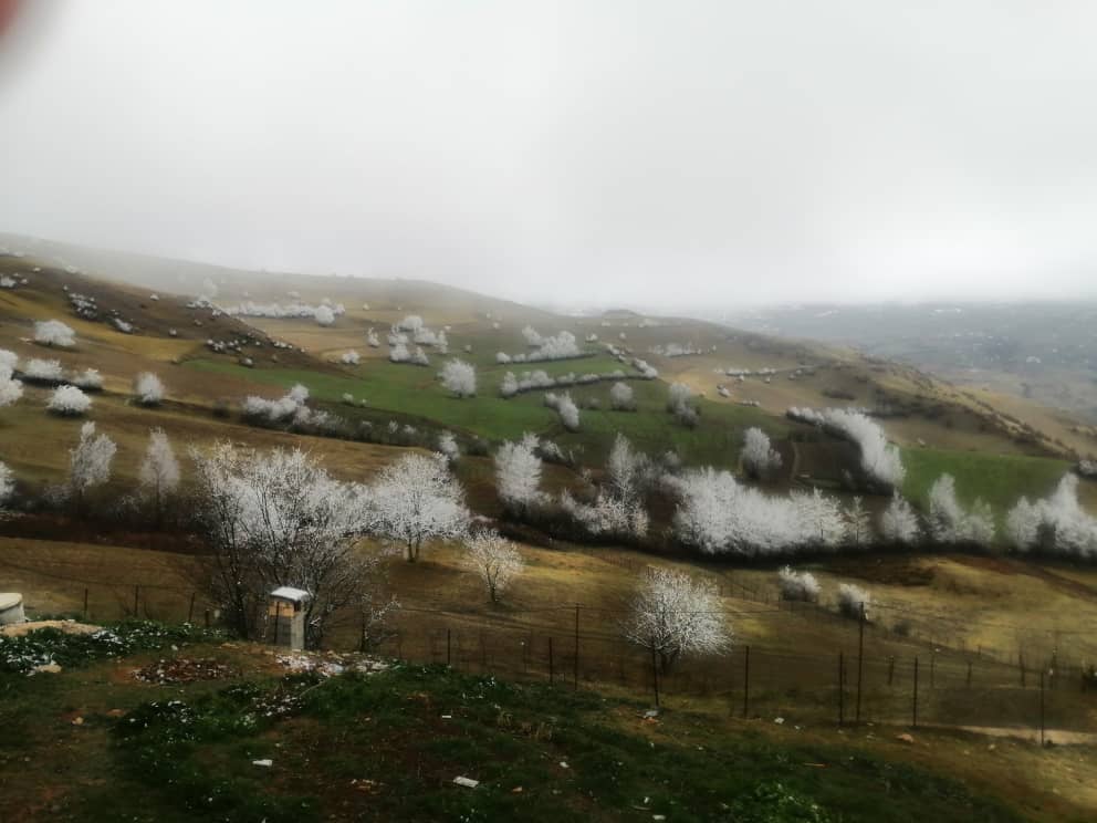 اجاره ویلا کوهستانی در روستای گردوویشه توتکابن - رستم آباد