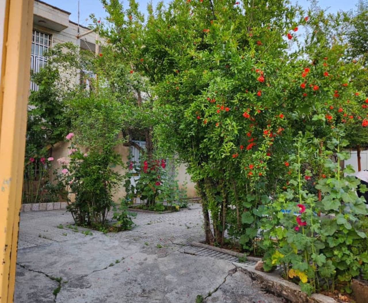 اجاره منزل ویلایی تک خواب در روستای خانقاه پاوه