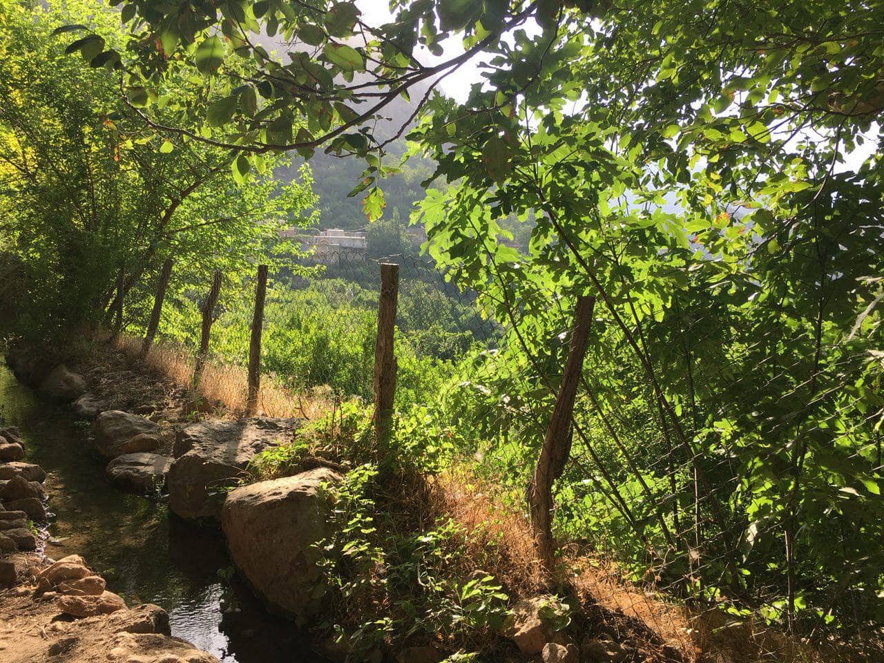 اجاره سوئیت مبله در داریان پاوه