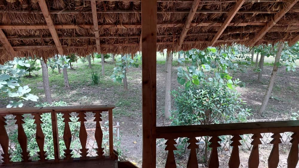 اجاره کلبه دوبلکس در روستای دلیجان - تی تی