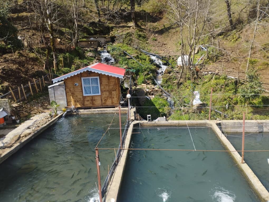 اجاره کلبه چوبی در روستای شانده صومعه سرا