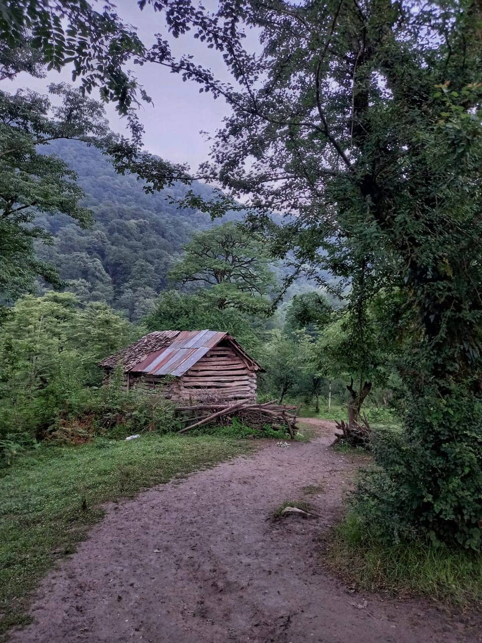 اجاره ویلا جنگلی در روستای ممرزکن بابل
