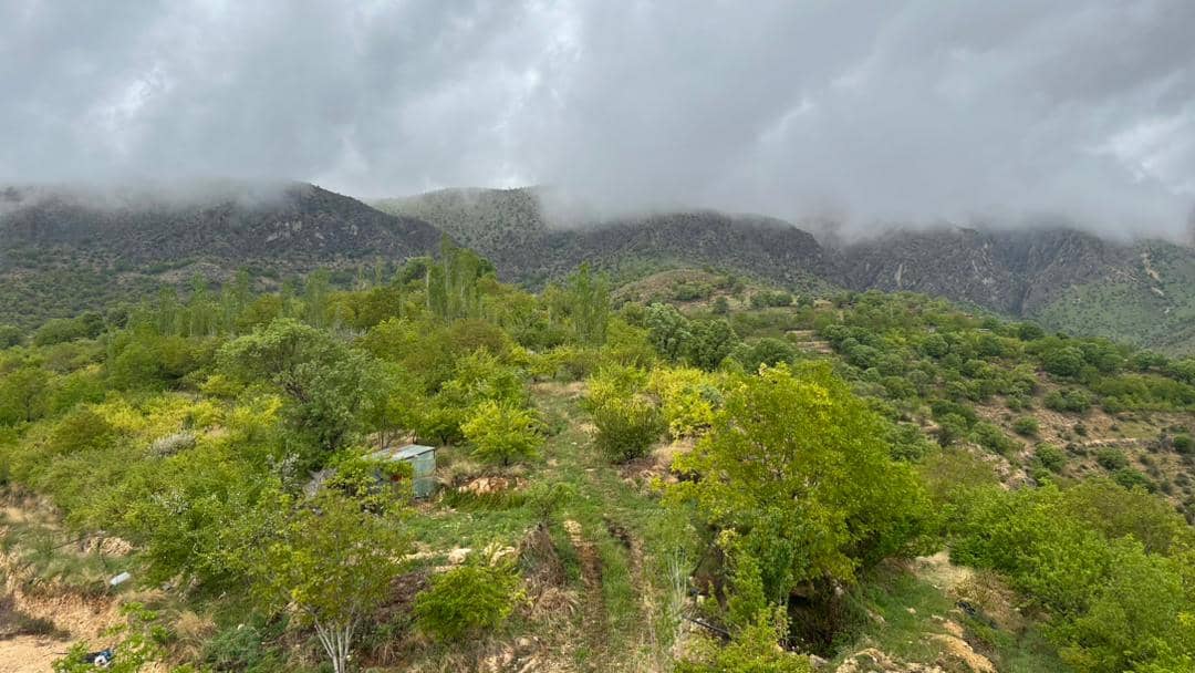 اجاره سوئیت استخردار در کهکران طبقه 3 - واحد 8