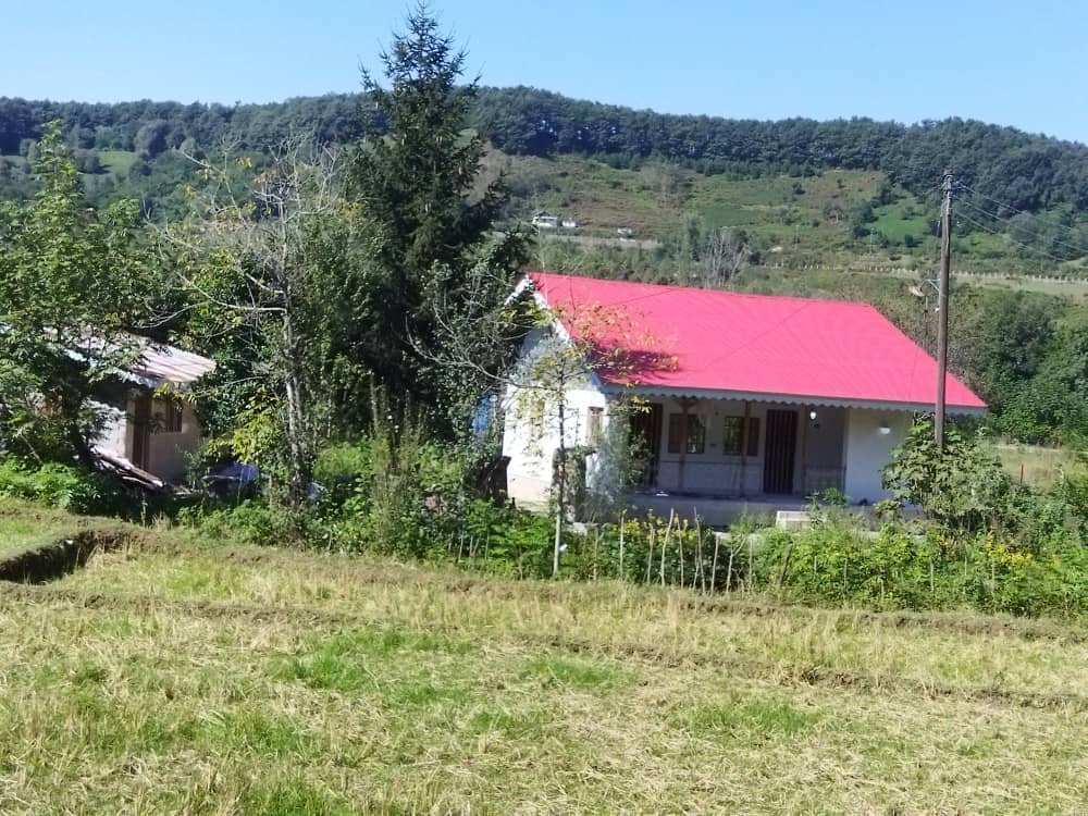 اجاره ویلای جنگلی در روستای توشی سیاهکل